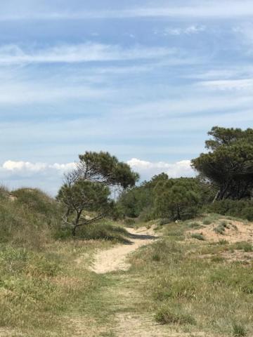 Oh! Campings - La Tamarissiere Agde Dış mekan fotoğraf